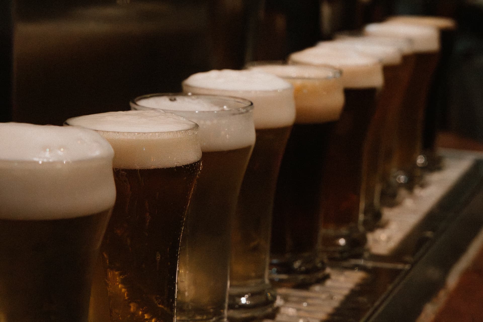 A row of freshly poured Redwood beers lined up along the bar